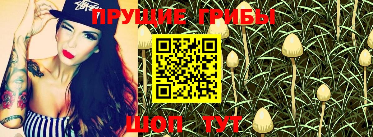 Псилоцибиновые грибы MAGIC MUSHROOMS  Вход с VPN  Нижнекамск 